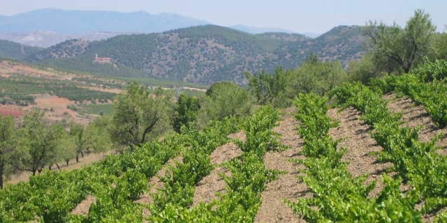 Sierra de Santa Cruz